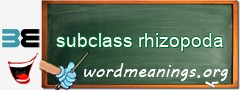 WordMeaning blackboard for subclass rhizopoda